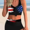 American Flag Print Bowknot High Waist Bikini Set