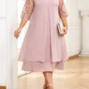Light Pink Embroidery Plus Size A Line Dress